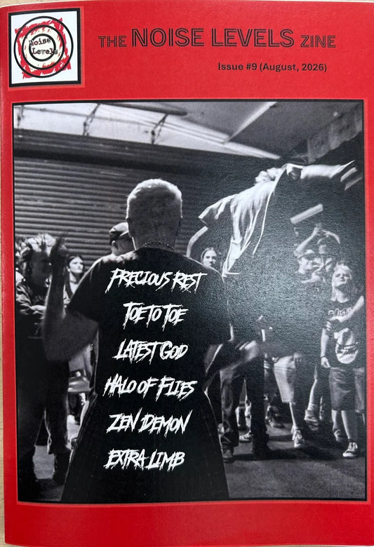 Noise Levels #9 zine